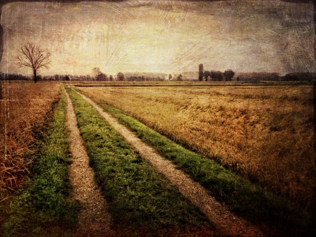 Davide Capponi