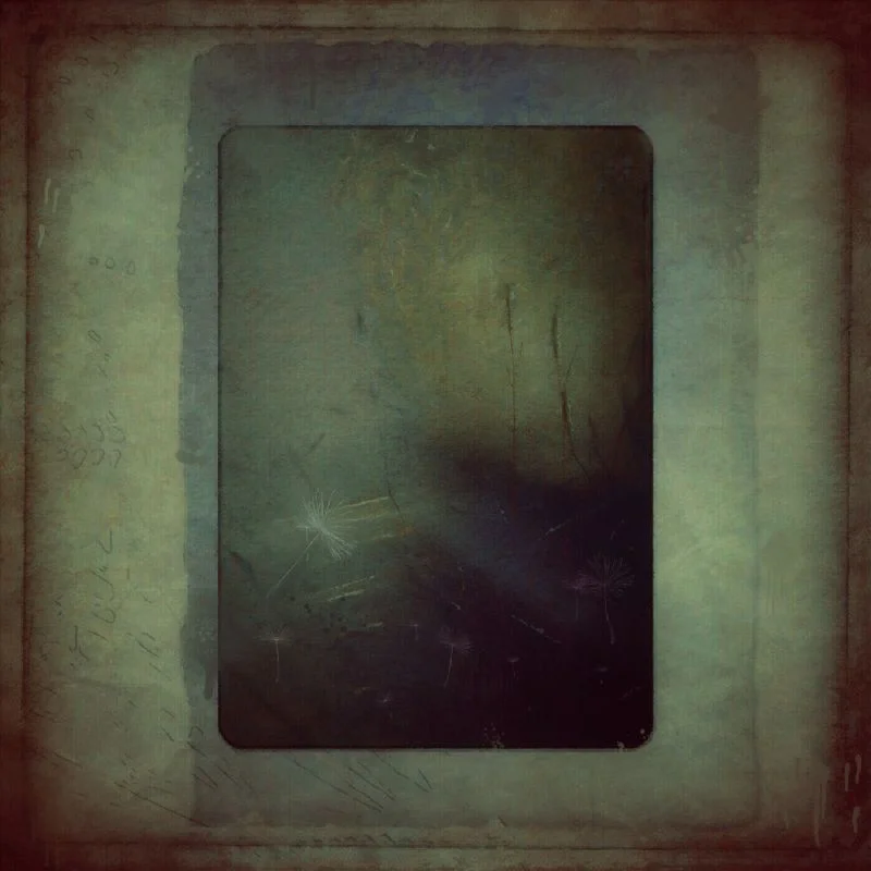 Barbara Coleman DuBois
