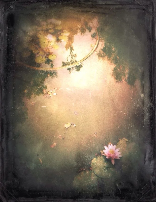 Gianluca Ricoveri @gianlucaricoveri