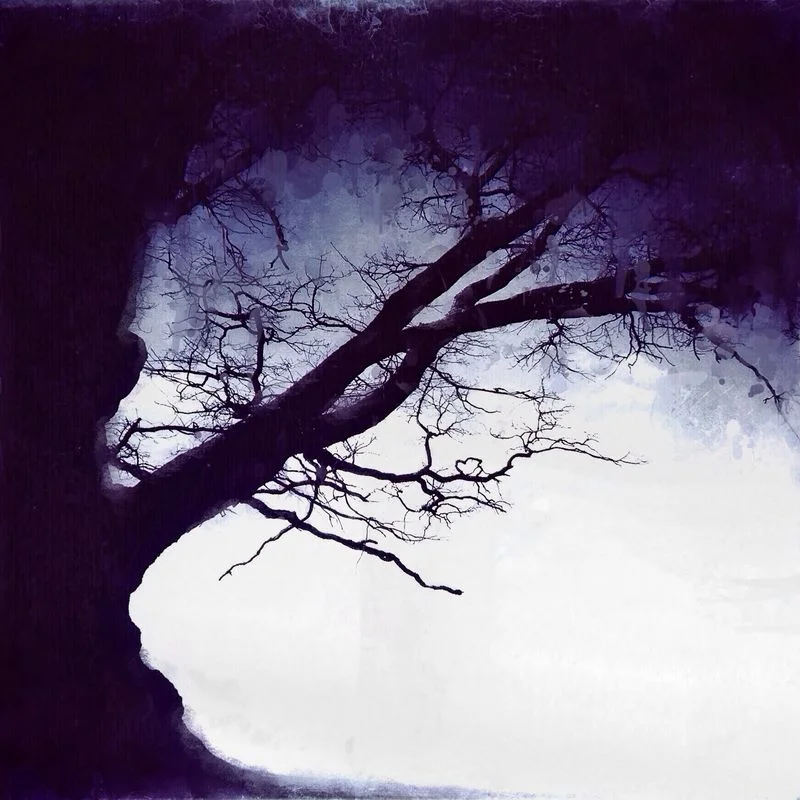 Cathrine Halsor
