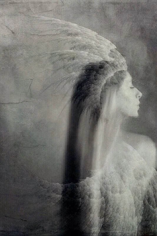 Patricia Larson @patylarson