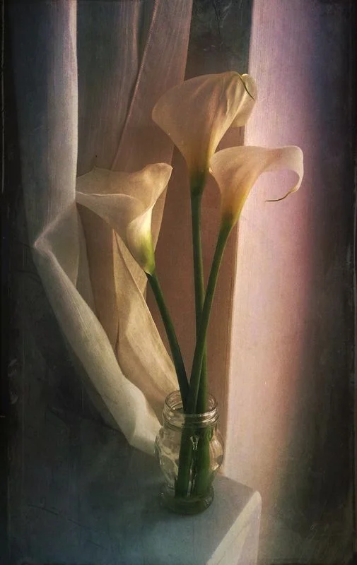 Gianluca Ricoveri @gianlucaricoveri