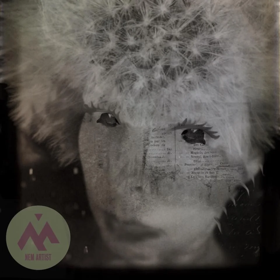 Jane Schultz - NEM Artists and NEM Submissions Curator