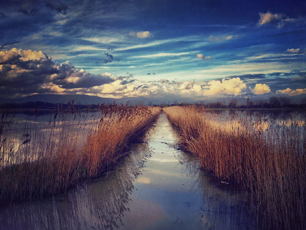 PHOTO BY GIANLUCA RICOVERI