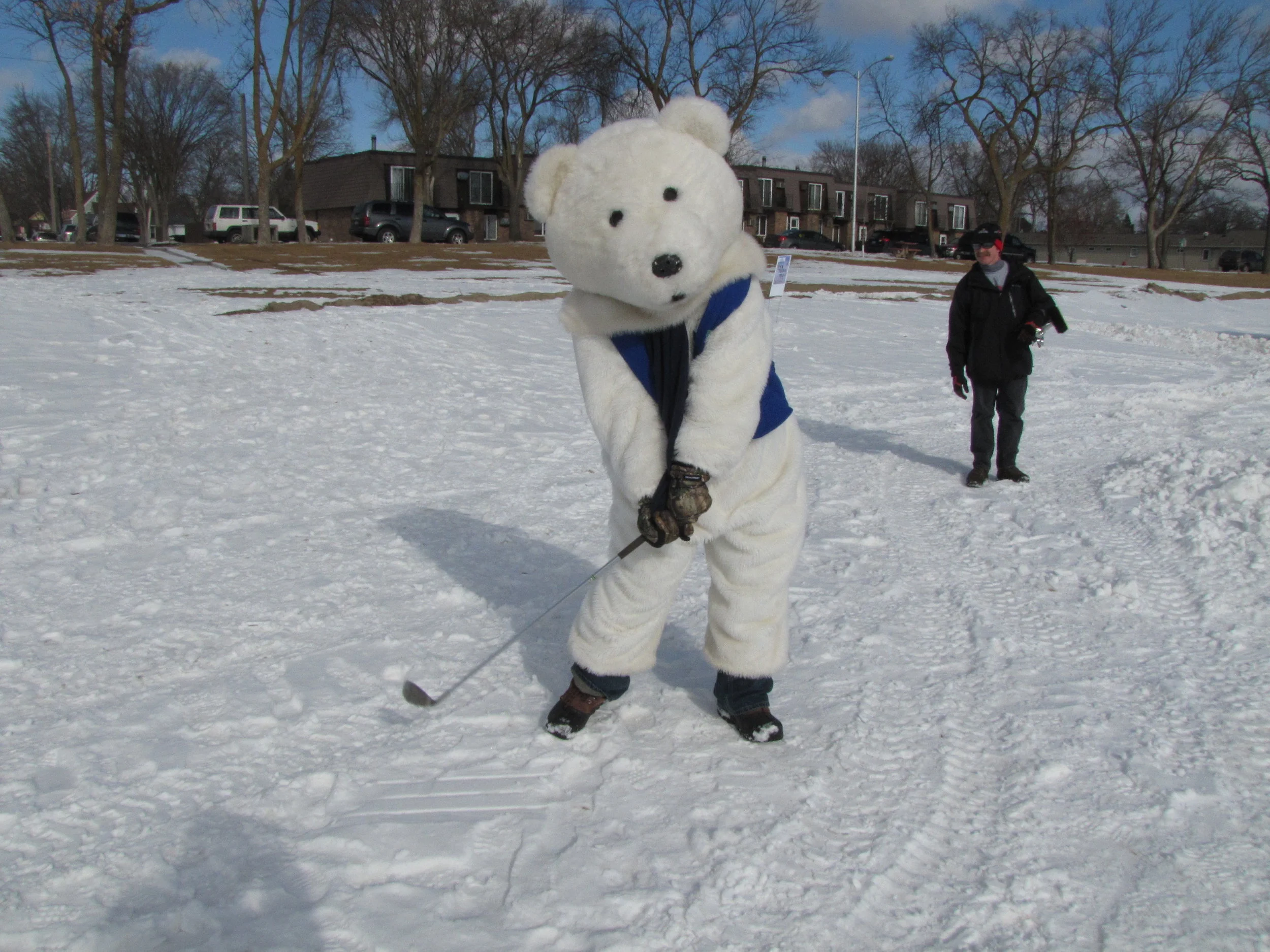 About — Polar Fest