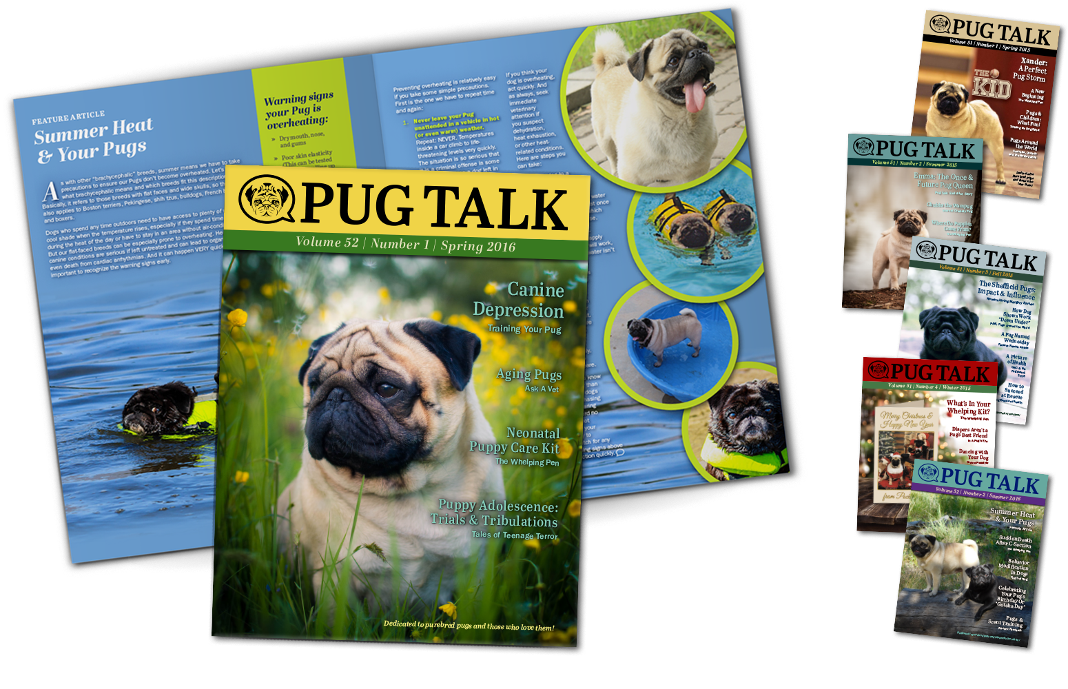 Pug Talk Magazine