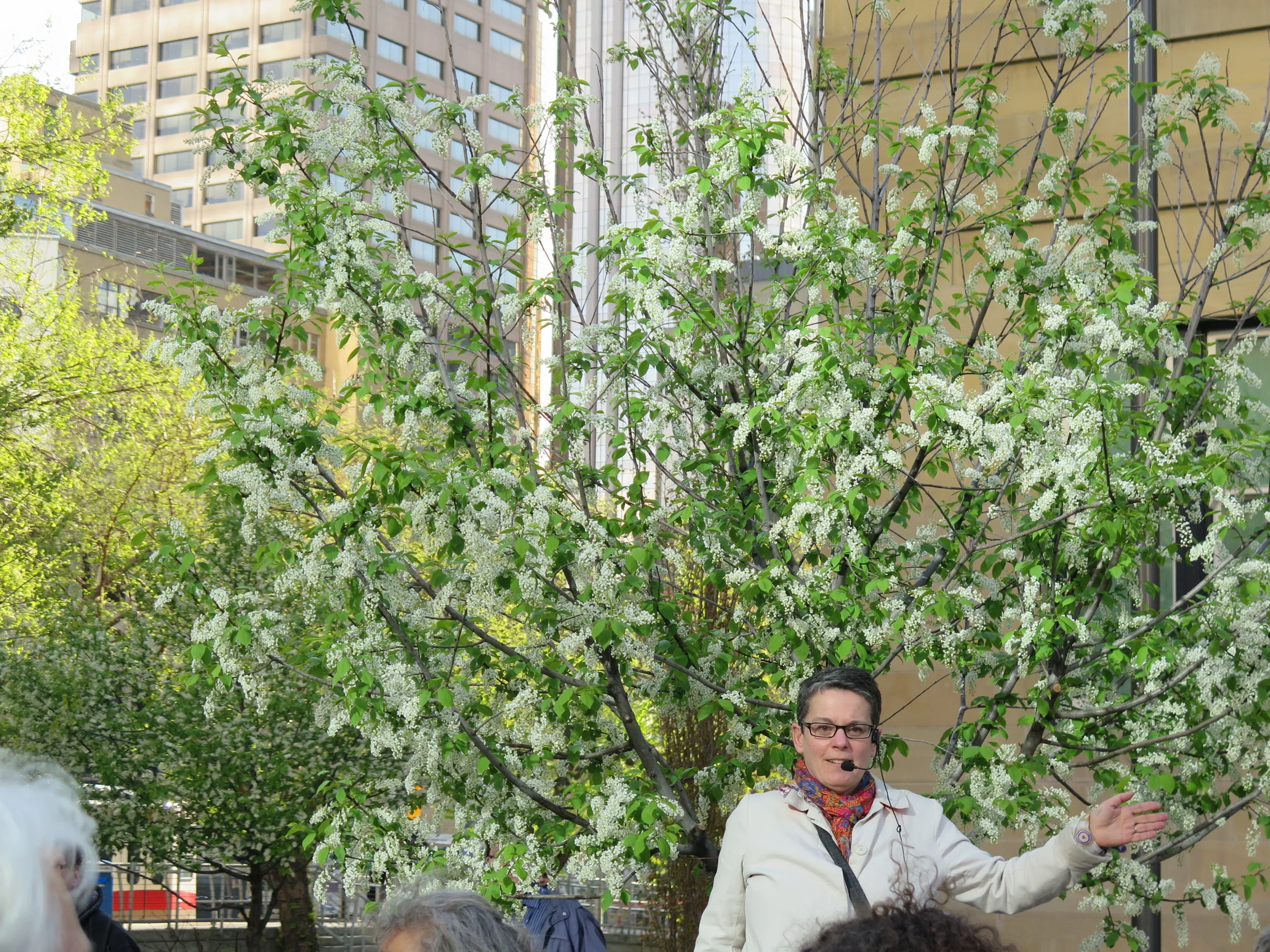 Beside the old Glenbow Museum: Robert Kroetsch's 1983 novel, Alibi has a deep connection to the city. Glenbow founder Eric Harvie was the inspiration for Kroetsch's millionaire oilman collector, Jack Deemer. Both men had the reputation for collecting "anything that was loose."