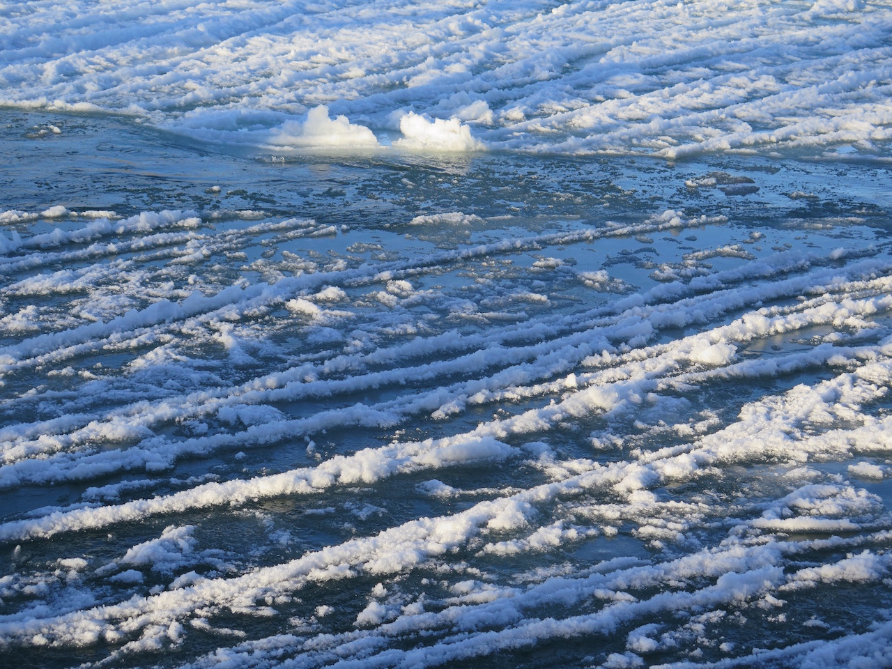 The Bow River near Calgary's Inglewood, January 1, 2016 (Photo: Shaun Hunter)