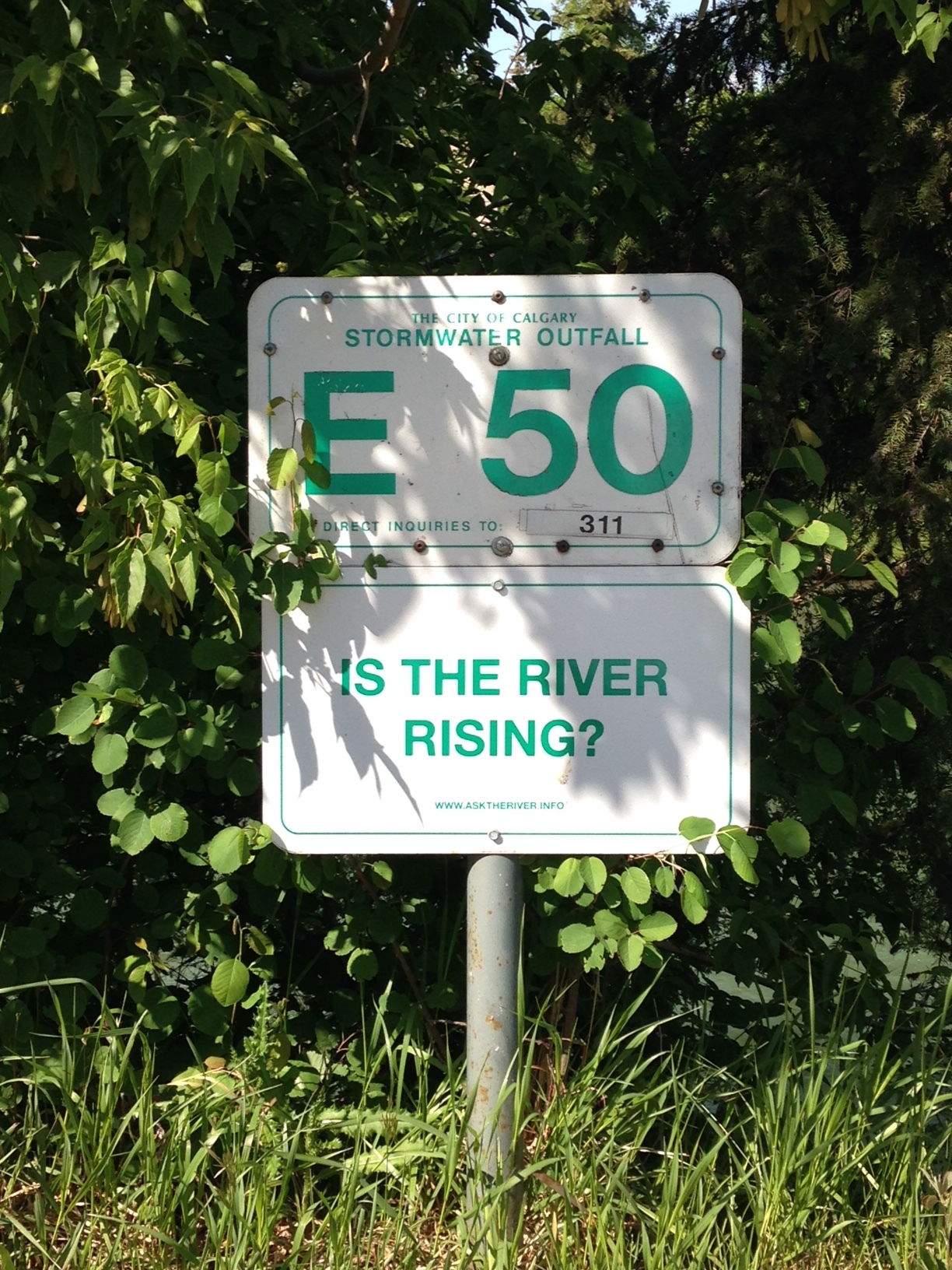 In the weeks following the 2013 flood, a Windsor-based artist collective visited the city as part of Calgary's public art program, Watershed+. The result? A series of signs exhibited at a local gallery and later installed along the city's river pathways. (Photo: Shaun Hunter)
