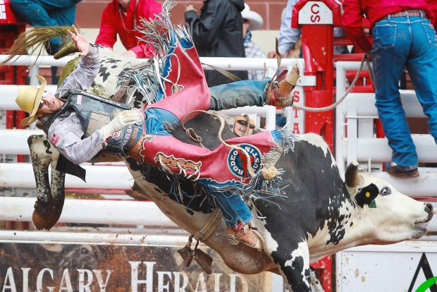 Texas bull rider J. W. Harris at the 2013 Calgary Stampede. "I don't ride bulls for the money," his colleague, Douglas Duncan told the Herald, "I ride them for fun." (Photo: Calgary Herald )