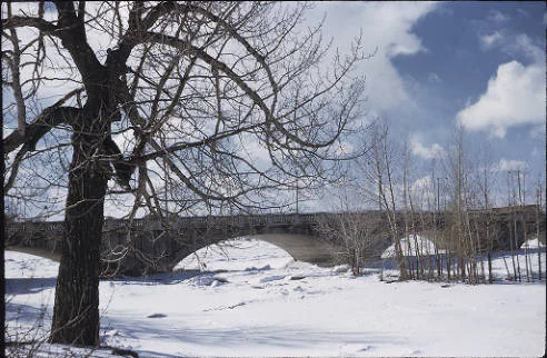 The Hillhurst (Louise) Bridge continues to carry the name of the deceased daughter of William H. Cushing, mayor of Calgary in 1900-01. According to the Calgary Herald of the day, Louise Cushing was considered "one of the best known young ladies of the city." (Photo: Calgary Public Library Alison Jackson Collection )