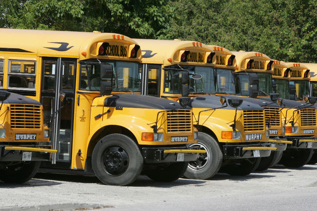 Calgary school buses at rest. (Photo: Calgary Sun)
