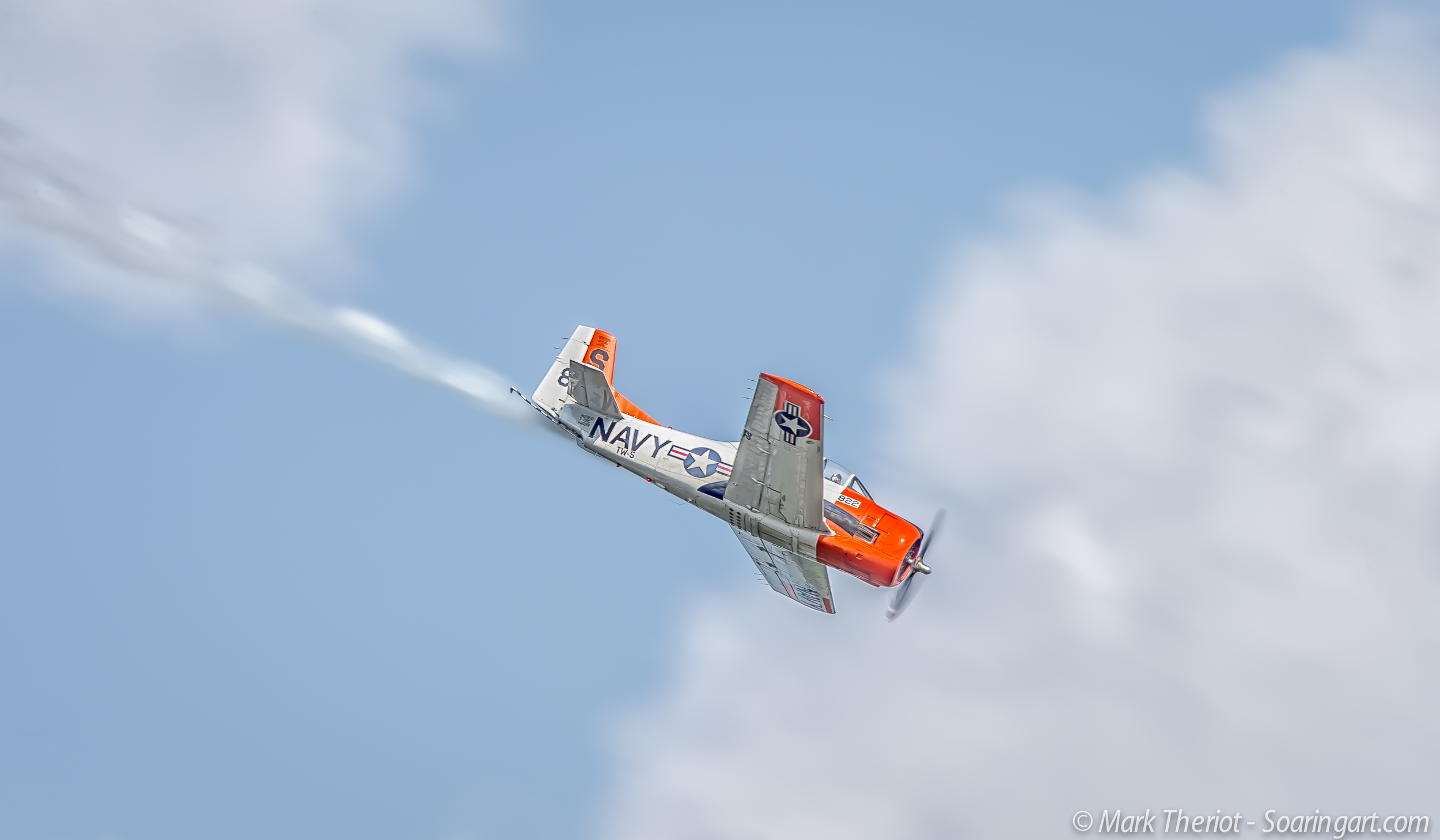 Osh2014_Soaring_Art_16.jpg