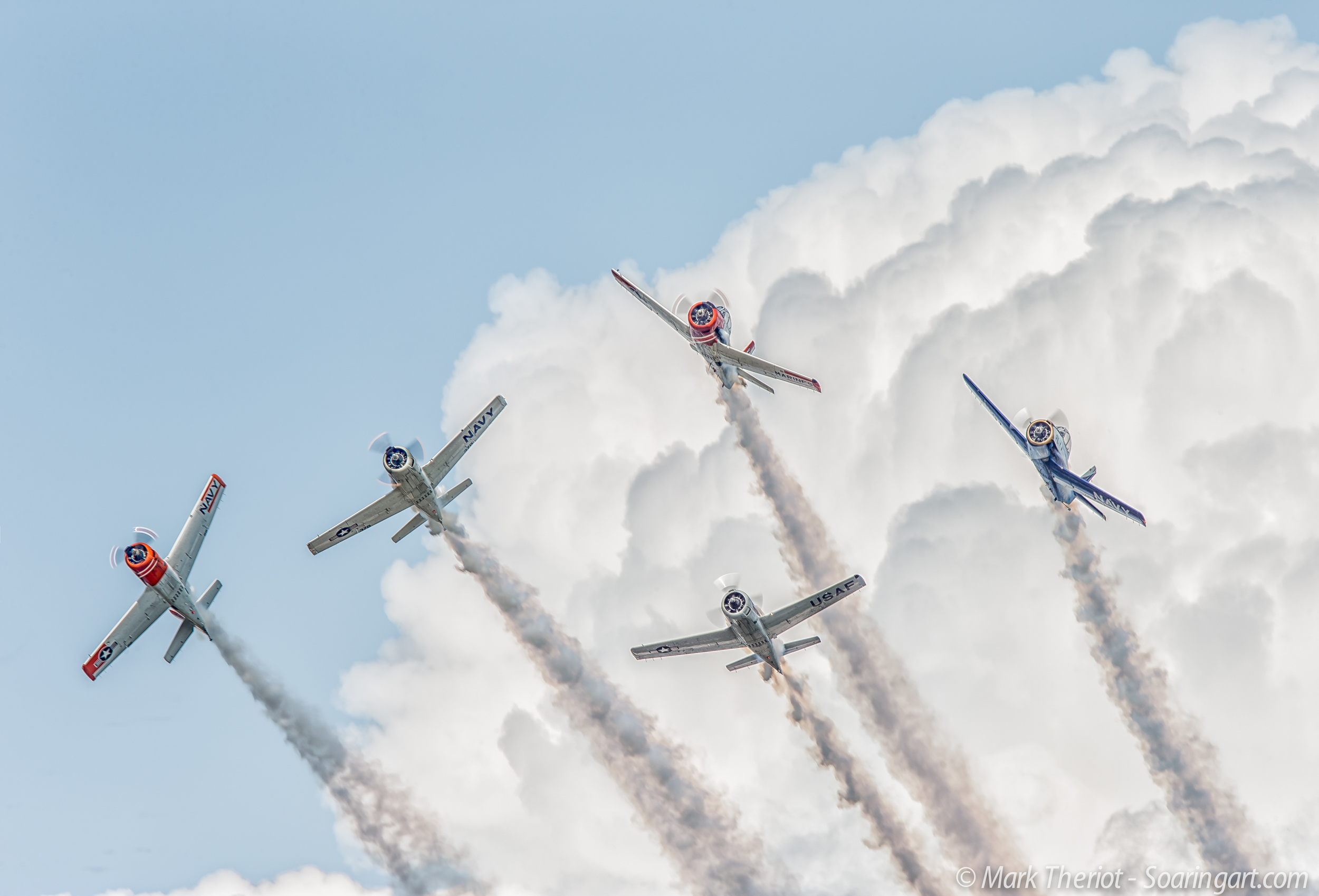 Osh2014_Soaring_Art_19.jpg