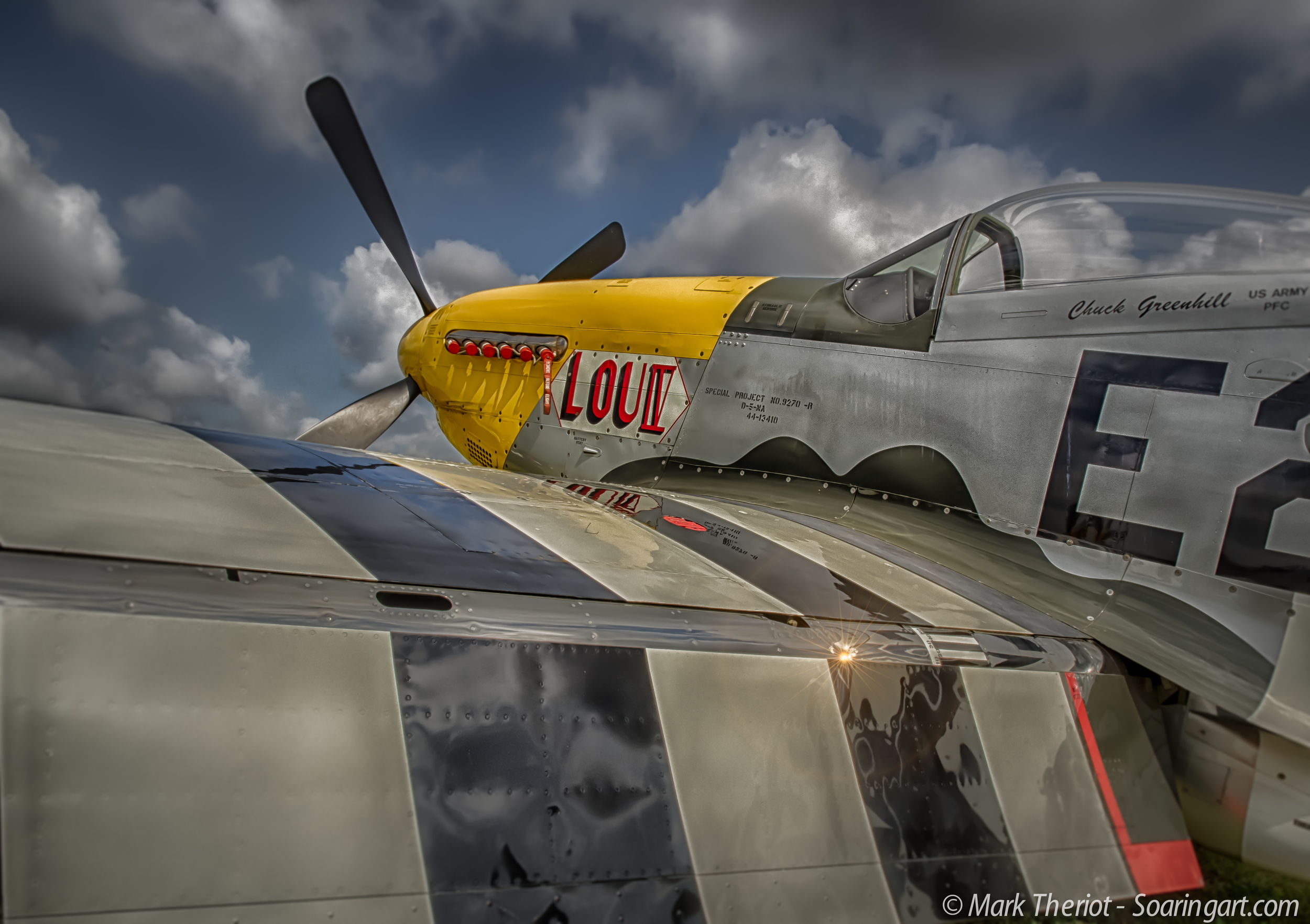 Osh2014_Soaring_Art_38.jpg