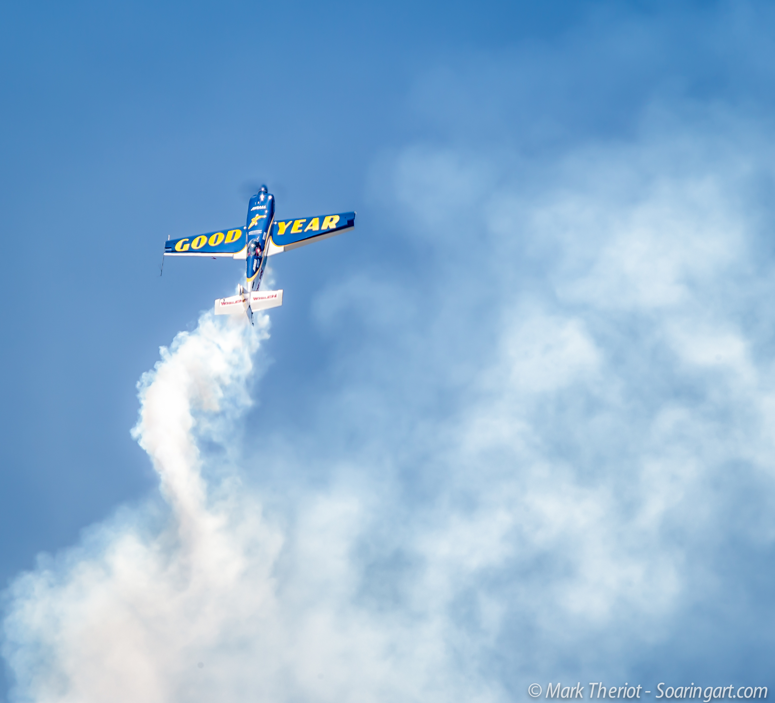 Osh2014_Soaring_Art_46.jpg