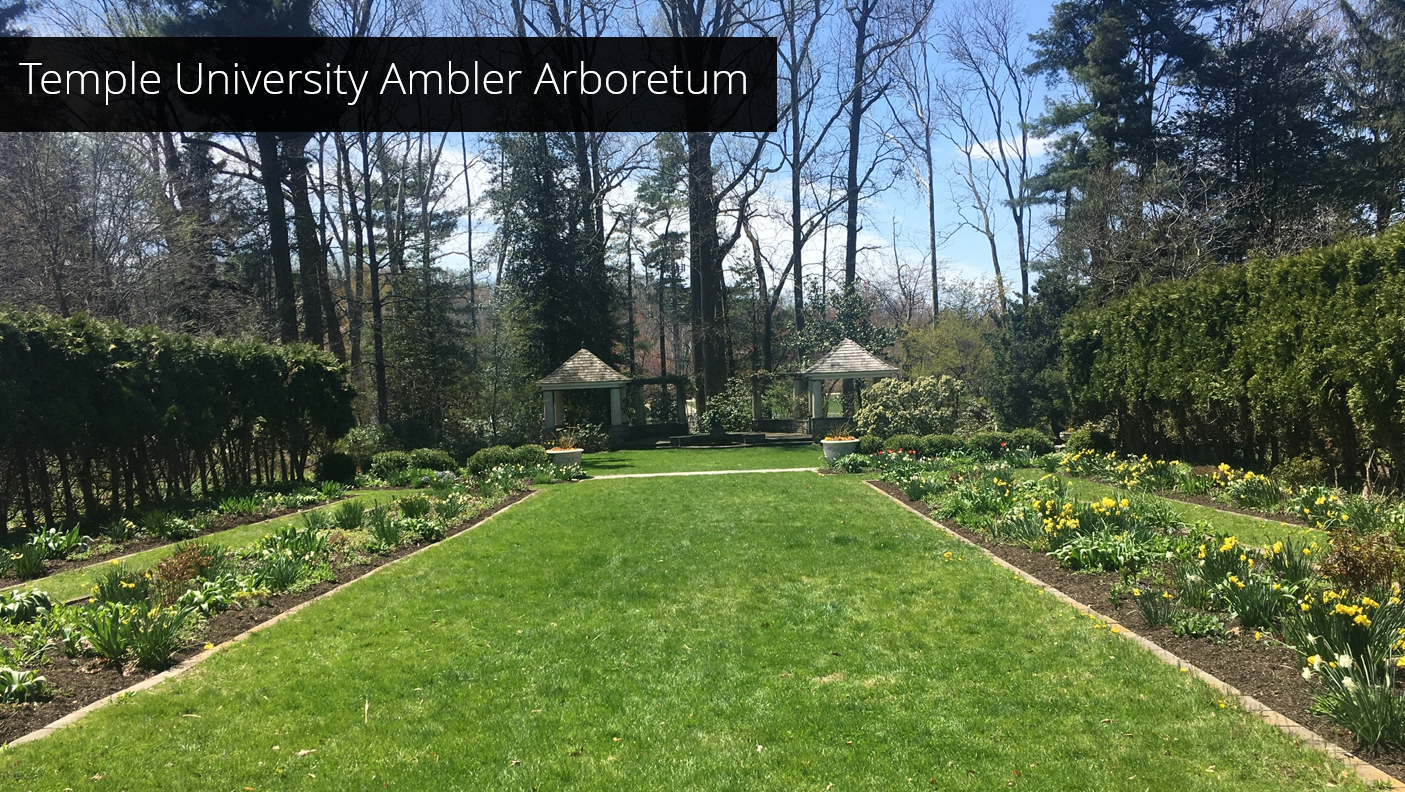  In need of wayfinding for its Arboretum, Temple University’s Ambler Campus engaged our team to develop a signage concept and plan for future implementation. 