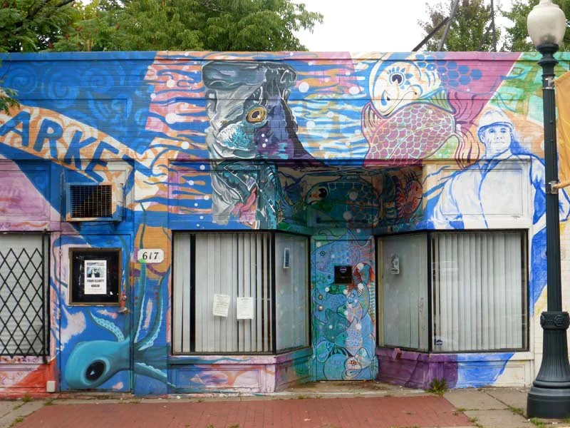 mural-pittsburgh-wilkinsburg-mlk-jeffrey-katrencik-colleen-black-hodder-holbrook-savido-gist-wood-st-franklin-ave-amazing2-closeup5.jpg