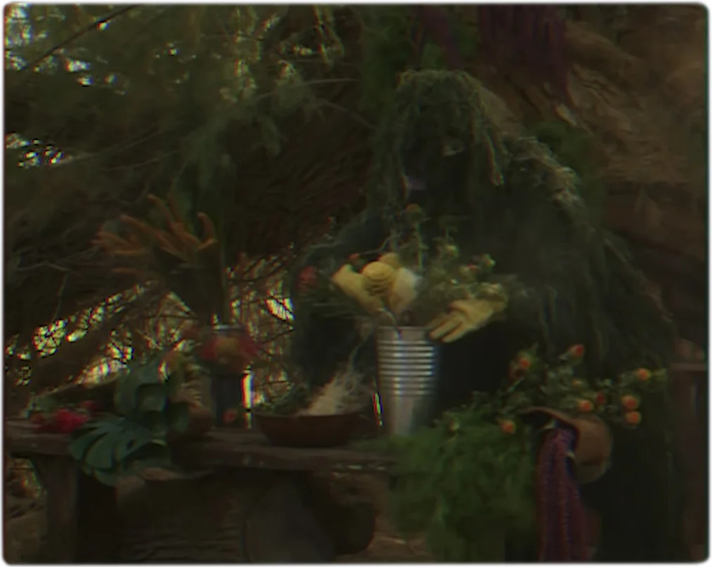 dontgetmewrong_0007_Layer Comp 8.jpg