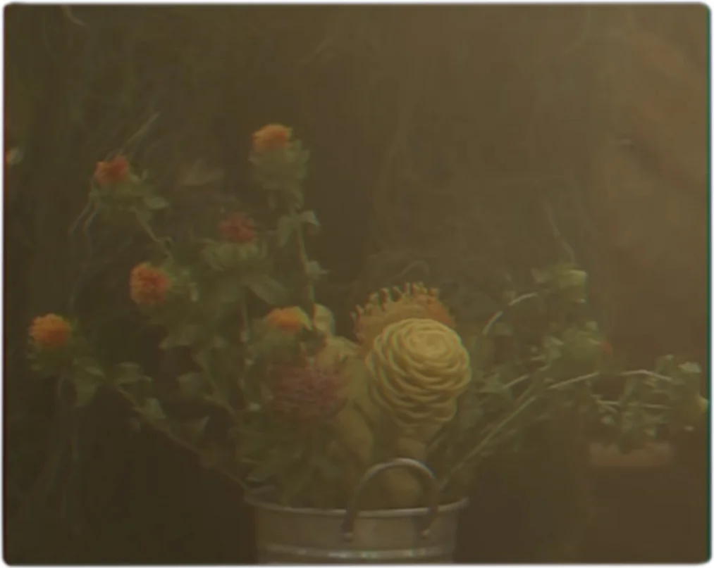 dontgetmewrong_0009_Layer Comp 10.jpg