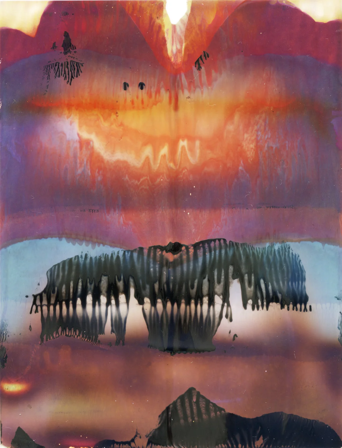 rollerprints_polacolor_003.jpg