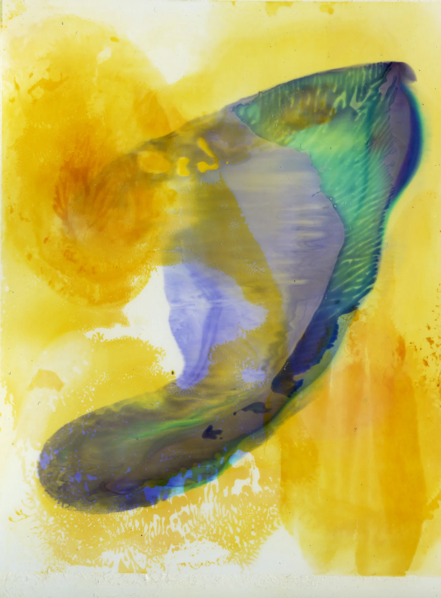 Polaroid emulsion paintings