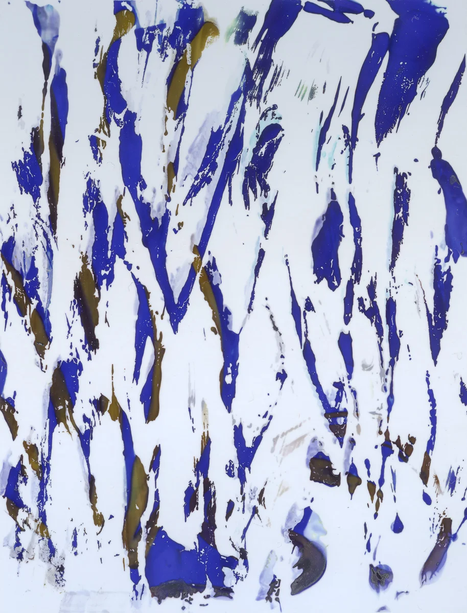 Polaroid emulsion paintings