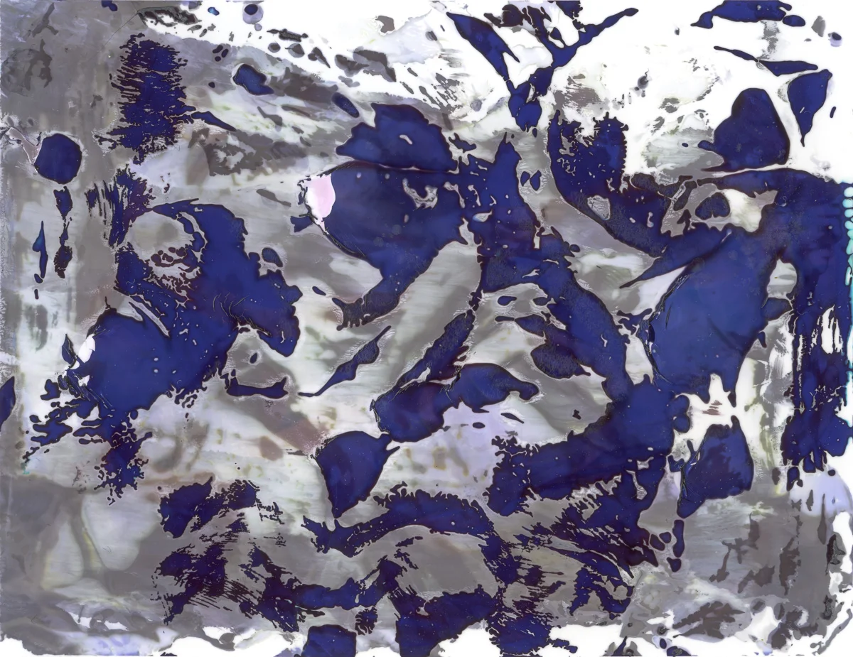 Polaroid emulsion paintings