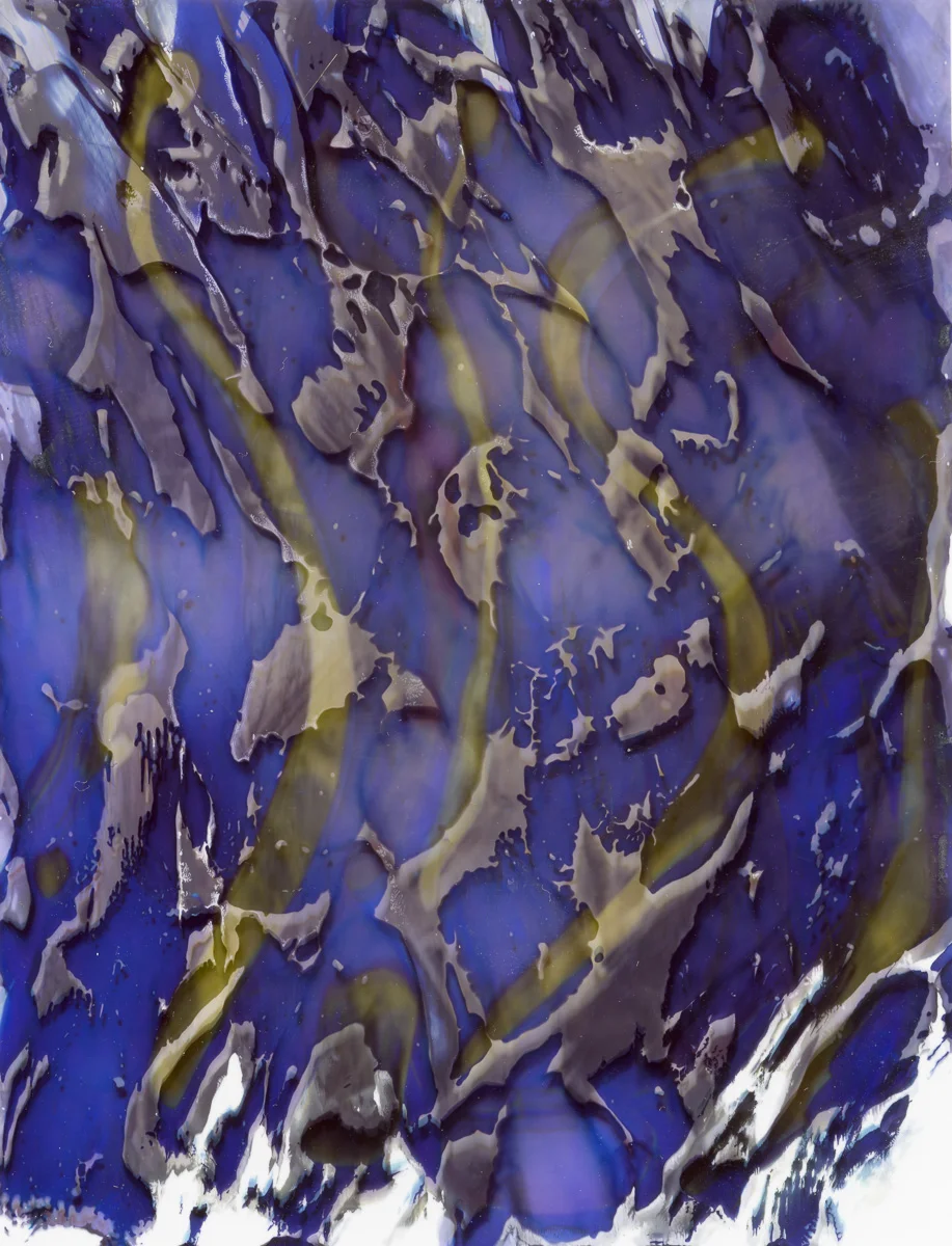 Polaroid emulsion paintings