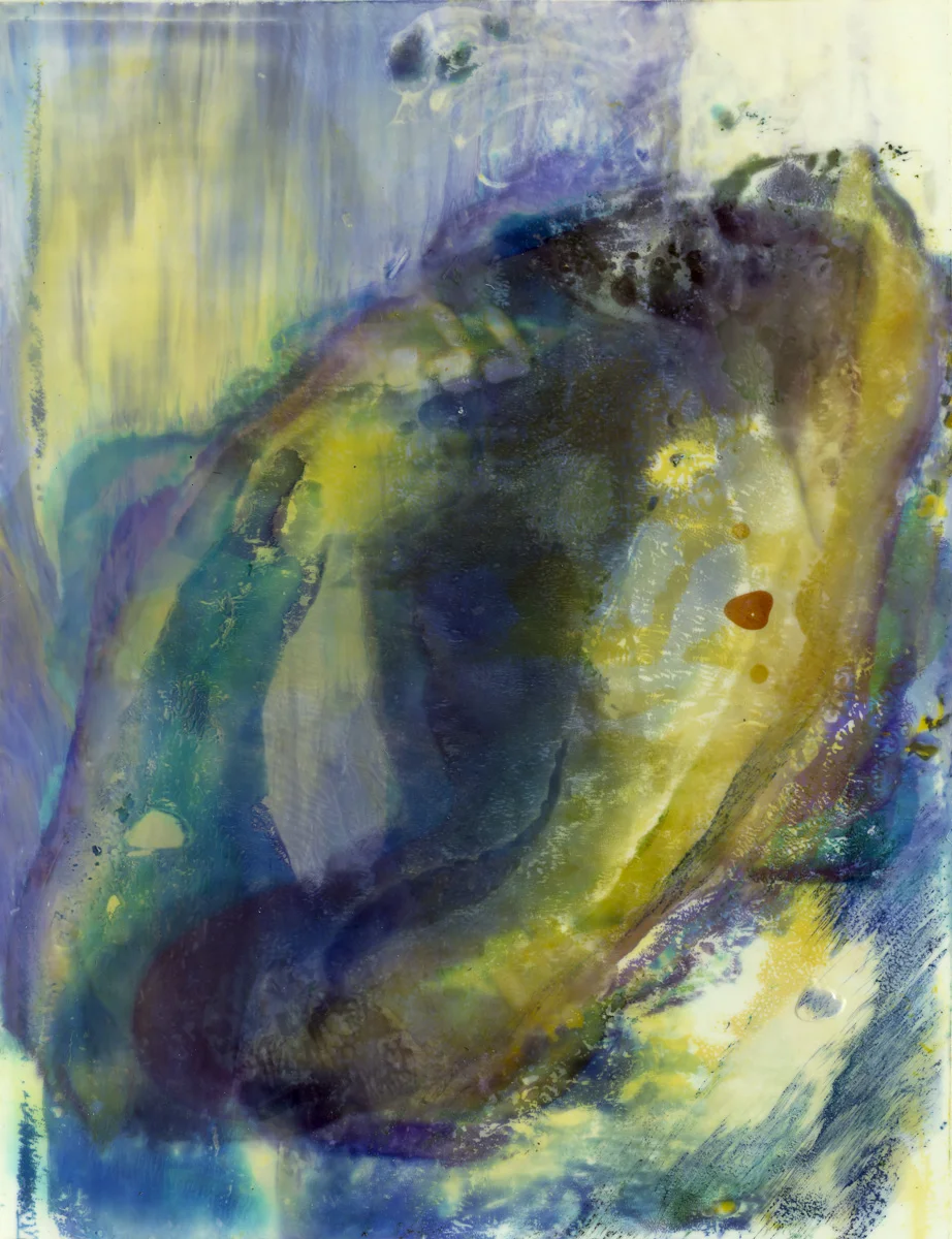 Polaroid emulsion paintings