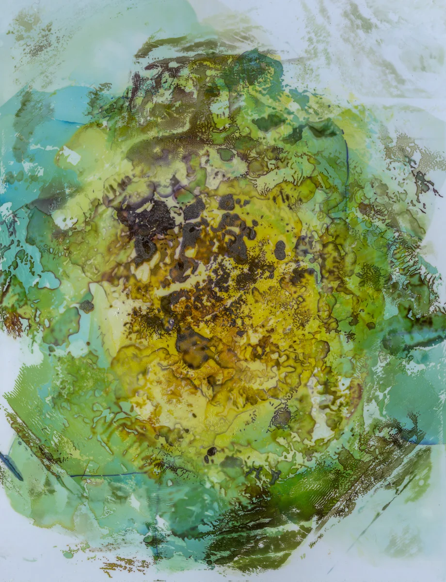 Polaroid emulsion paintings