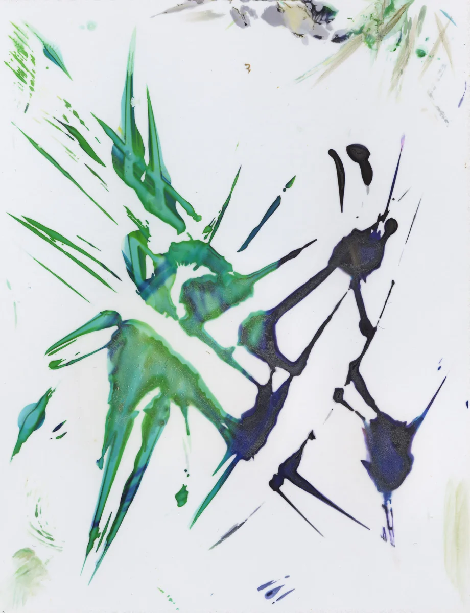 Polaroid emulsion paintings