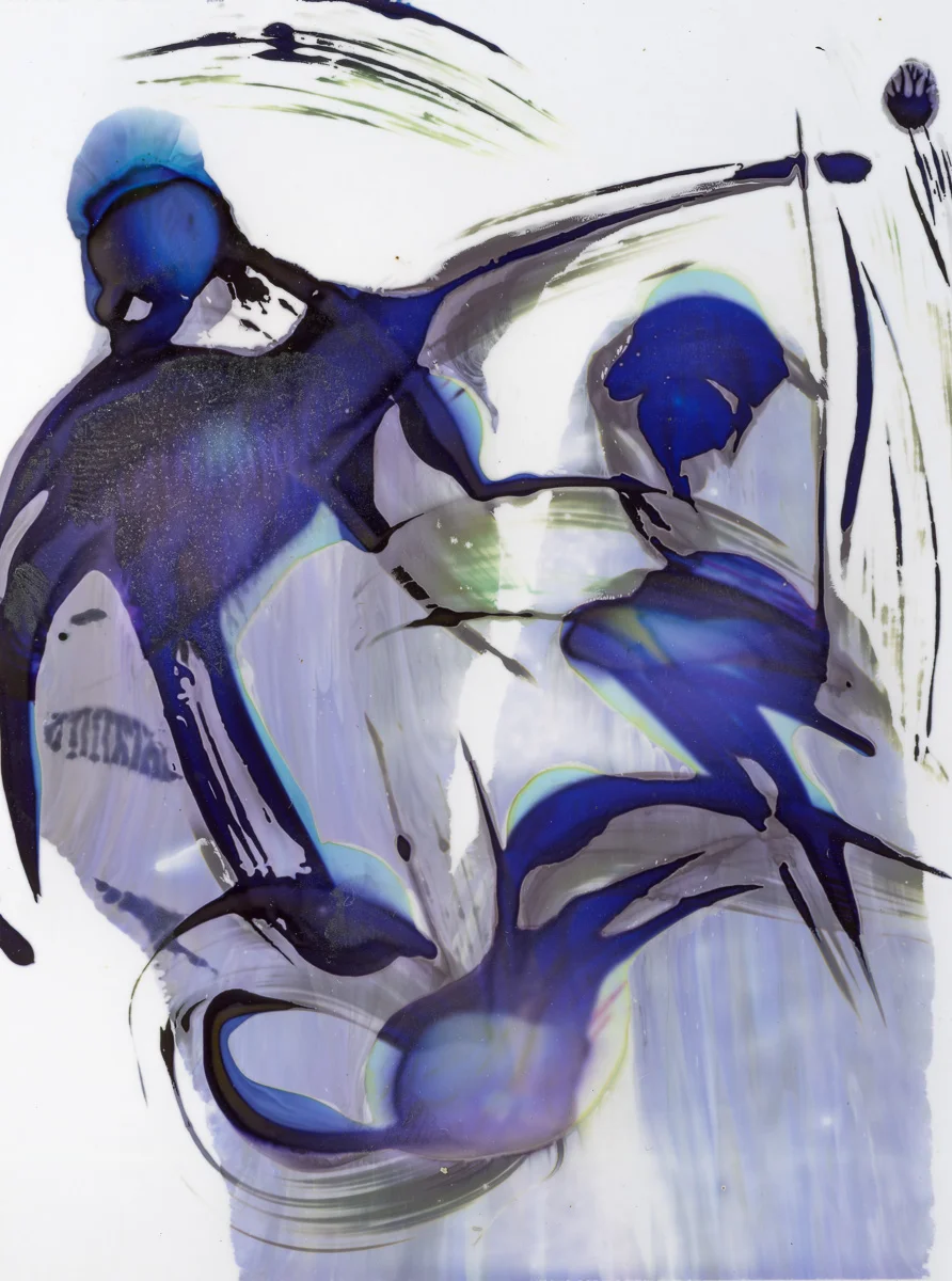 Polaroid emulsion paintings