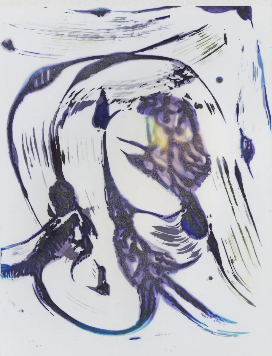 Polaroid emulsion paintings