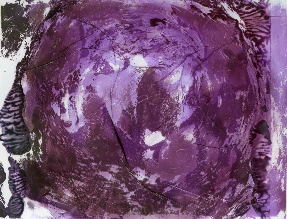 Polaroid emulsion paintings