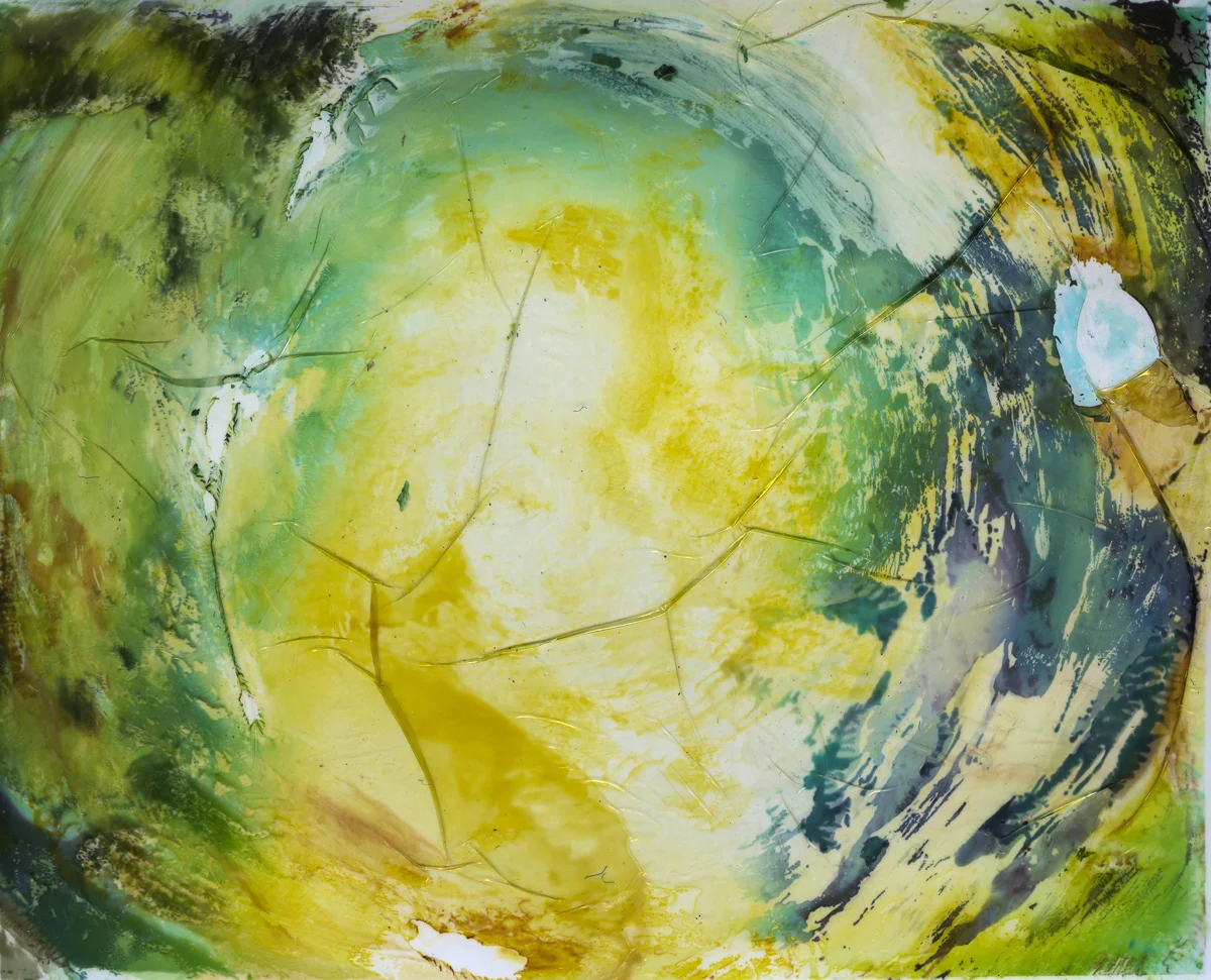 Polaroid emulsion paintings