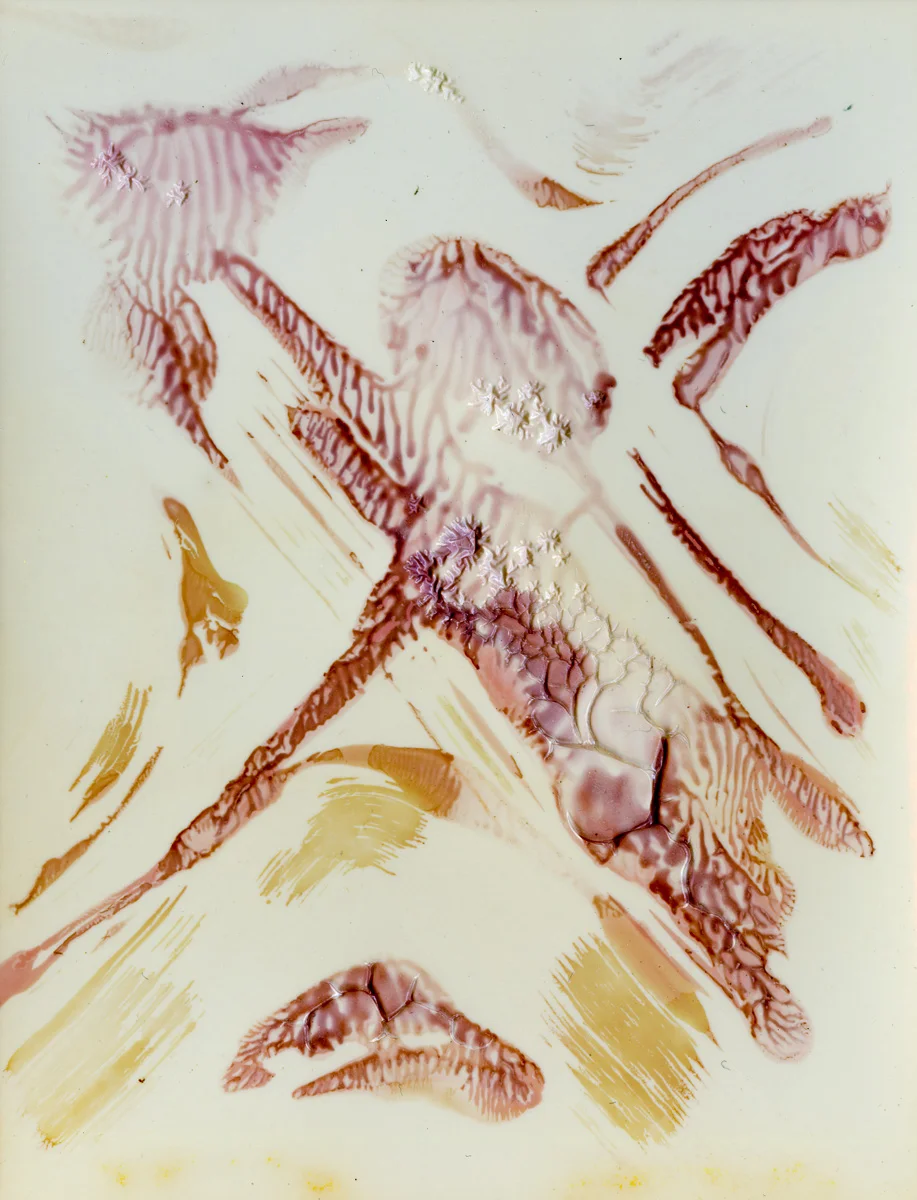 Polaroid emulsion paintings