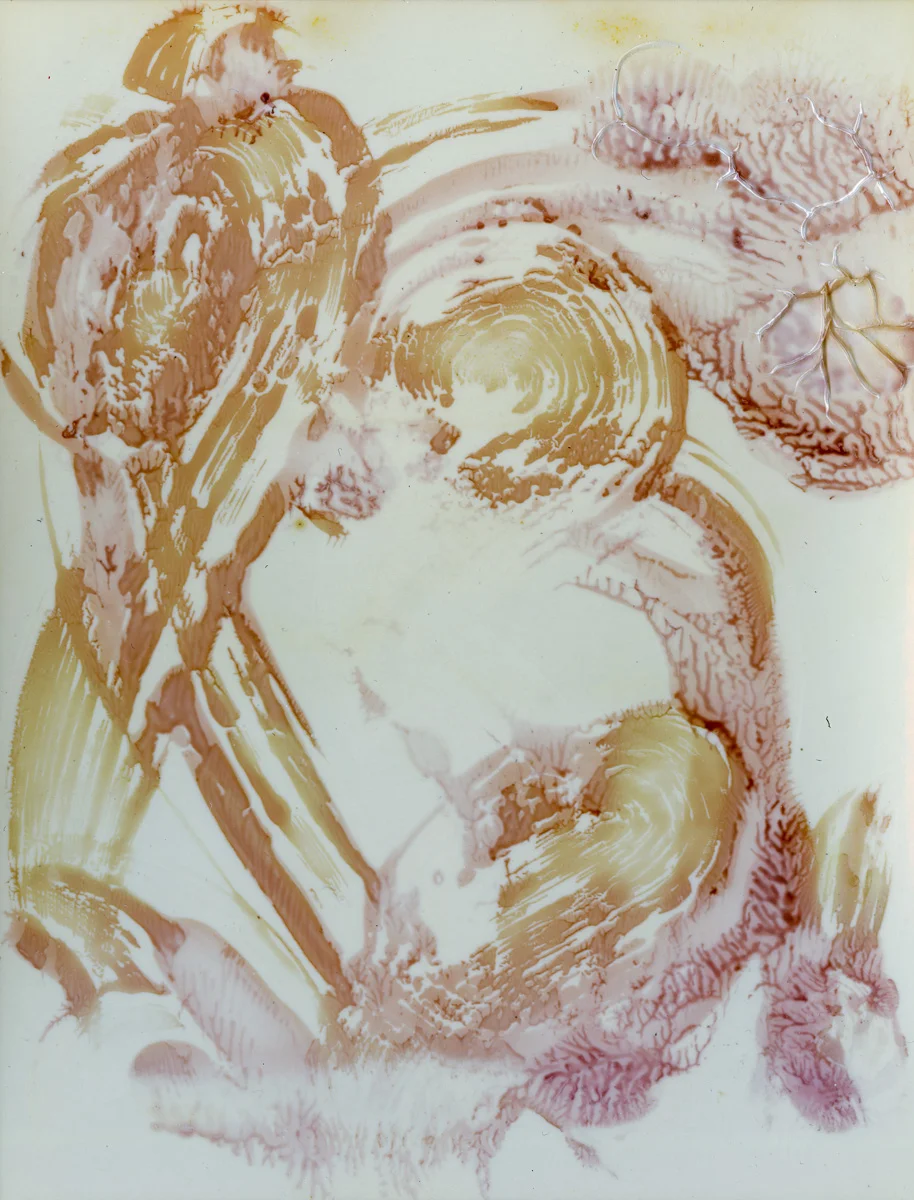 Polaroid emulsion paintings