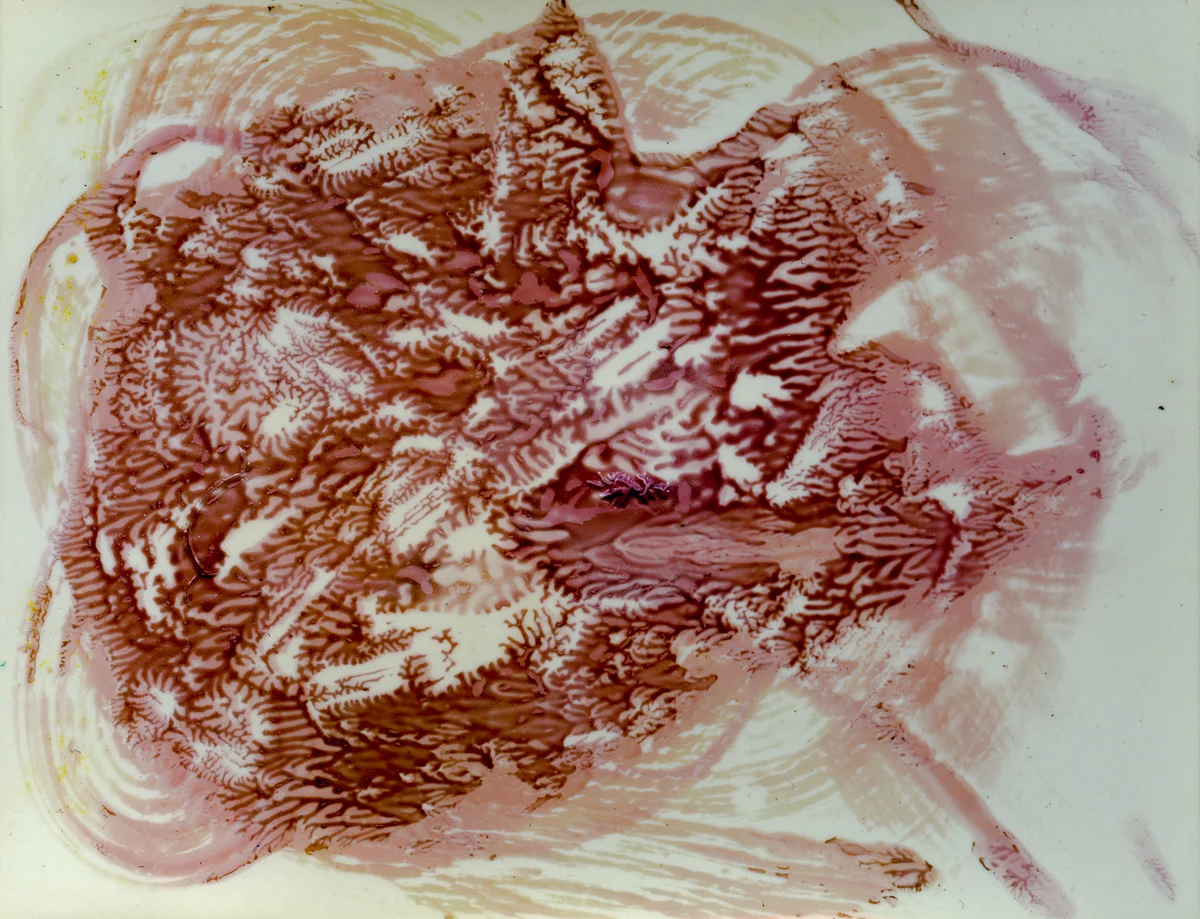 Polaroid emulsion paintings