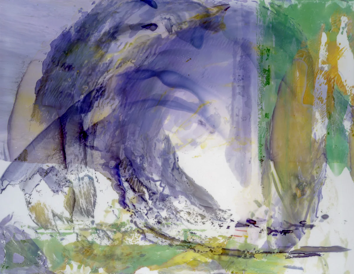 Polaroid emulsion paintings