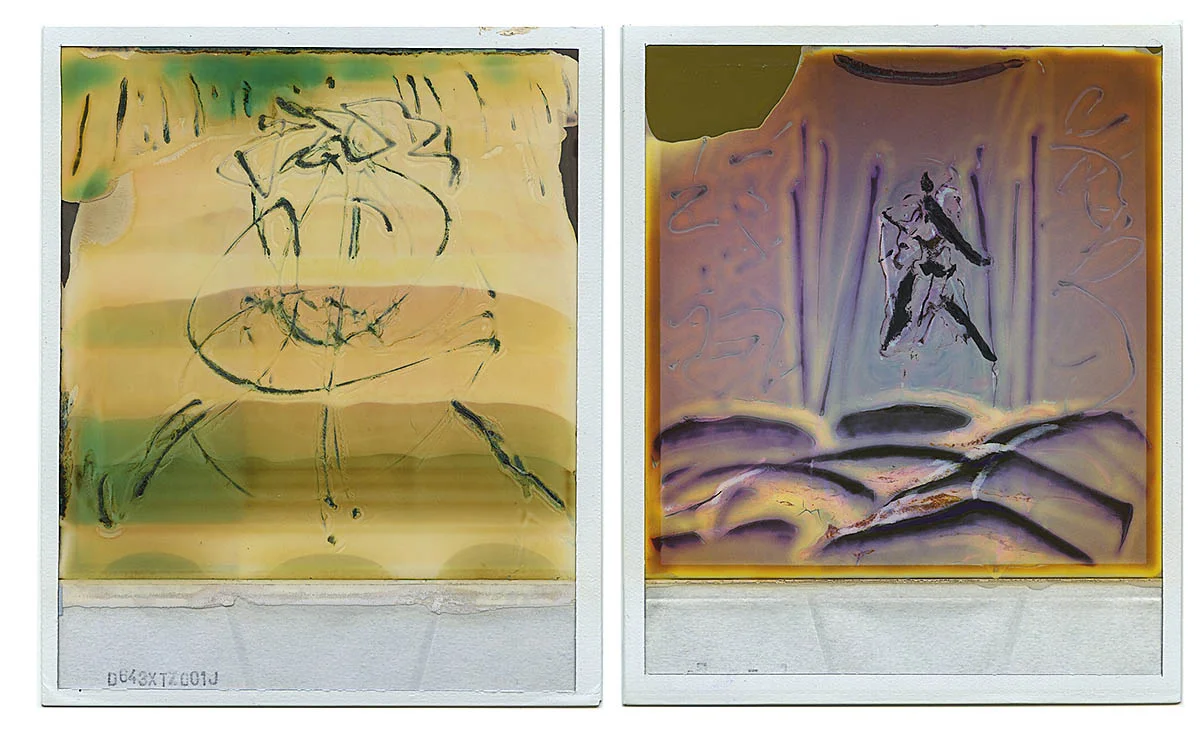 Polaroid Integral 600 Film