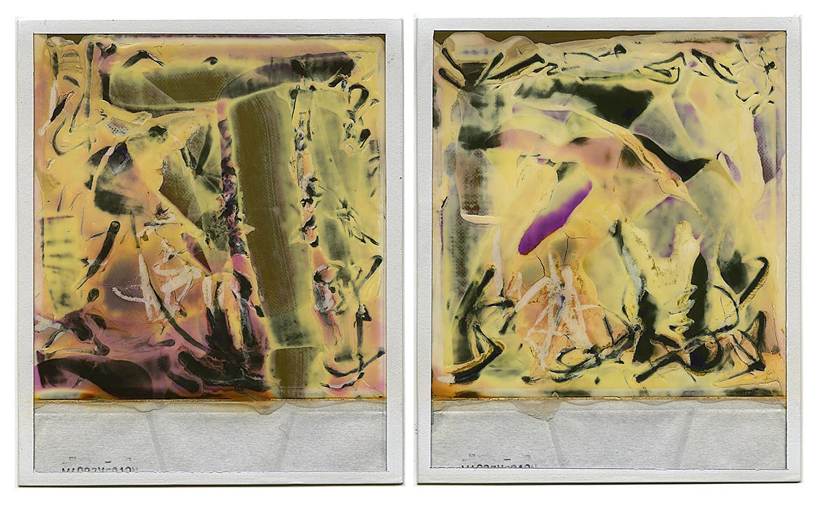 Polaroid Integral 600 Film