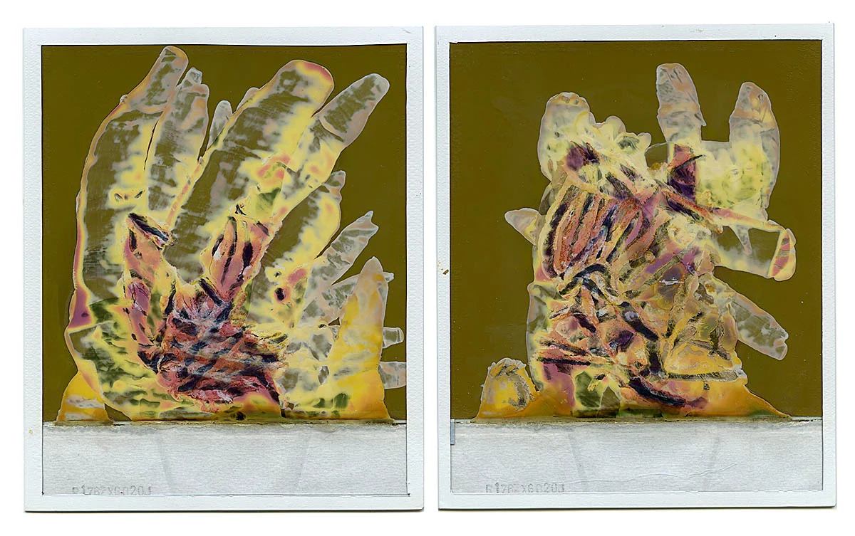 Polaroid Integral 600 Film