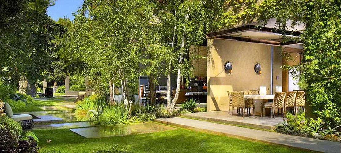 backyard.jpg