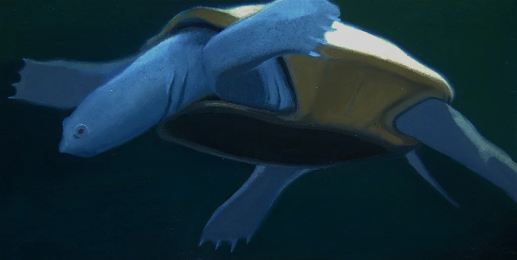 Water Turtle