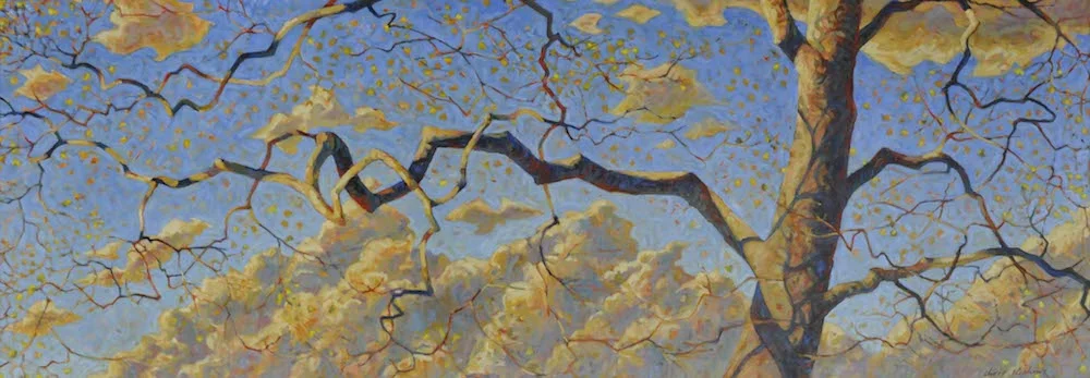 Spring Reach