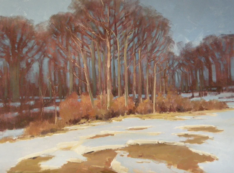 Woods in Snow