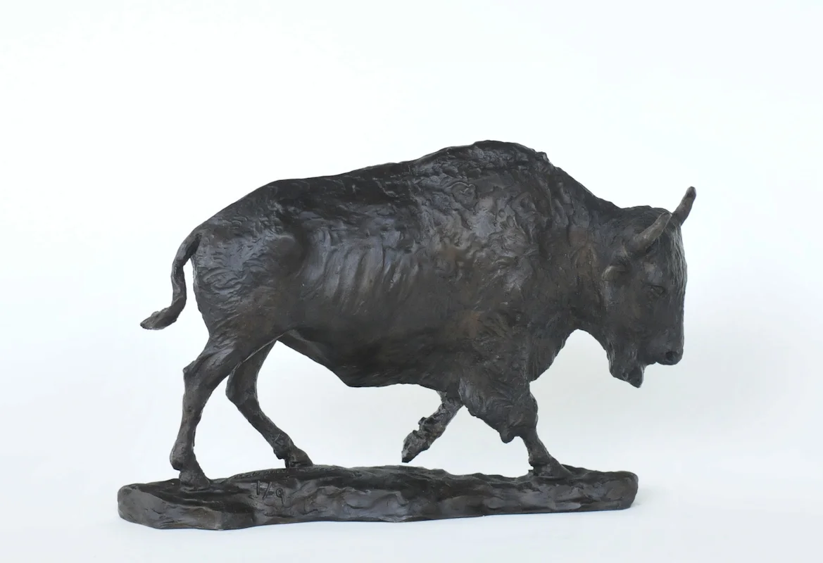 Buffalo