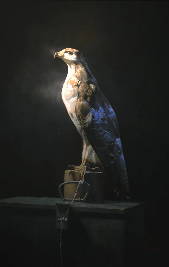 Hawk