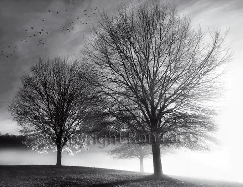 Autumn Morning